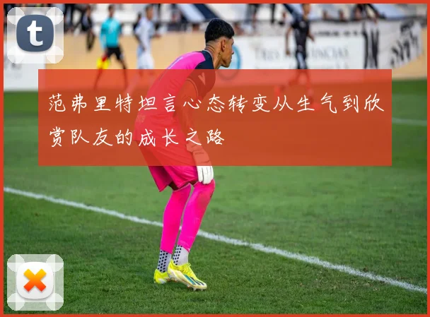 范弗里特坦言心态转变从生气到欣赏队友的成长之路
