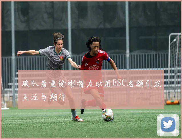 狼队看重徐彬潜力动用ESC名额引发关注与期待